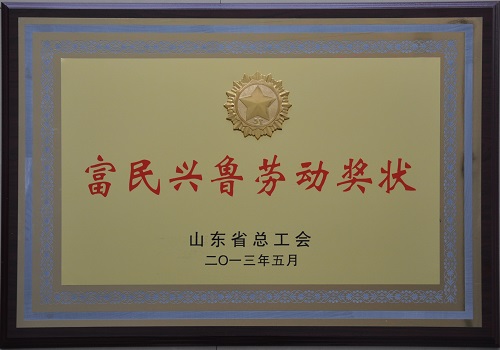 2013年8月，公司獲得山東省總工會(huì)授予“富民興魯勞動(dòng)獎(jiǎng)狀”稱號(hào)。