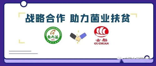 攜手古船米業(yè)，共筑貧困地區(qū)食用菌銷售與商品房代購代銷新篇章